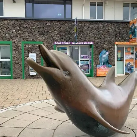 Centre Of Town - Luxury Holiday Apartment Dingle